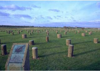 Woodhenge today